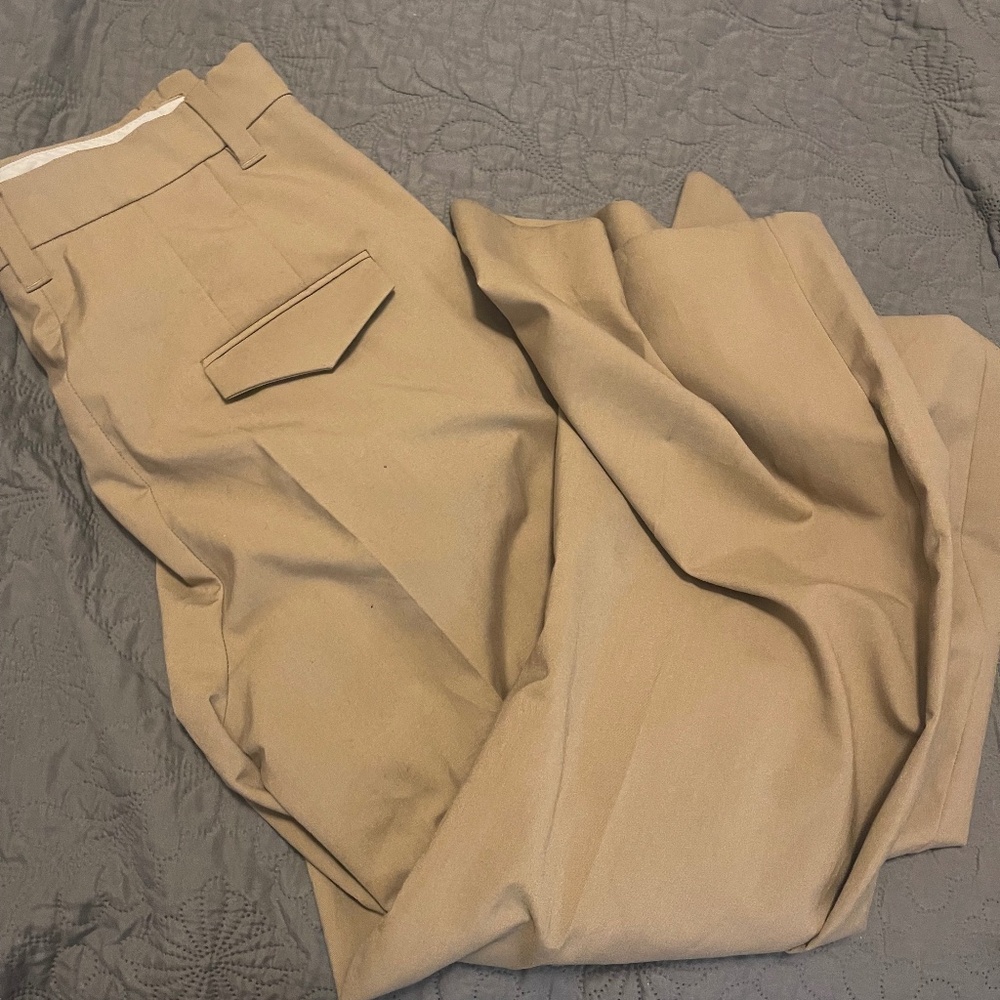 Zara pants